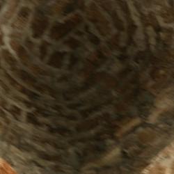 Bobeda de la Torre de San Miguel